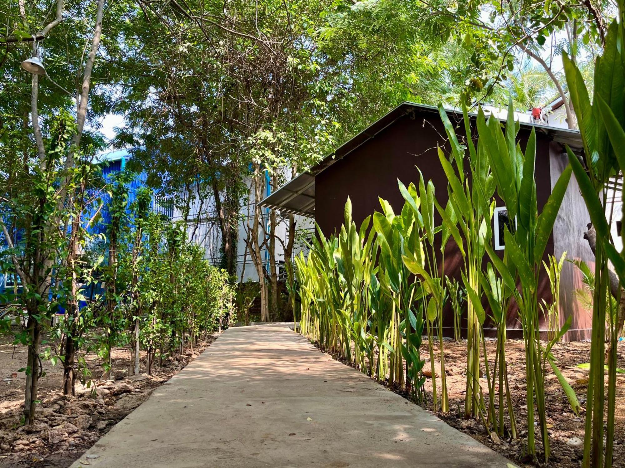 Banyan Tree Hostel Кампот Экстерьер фото