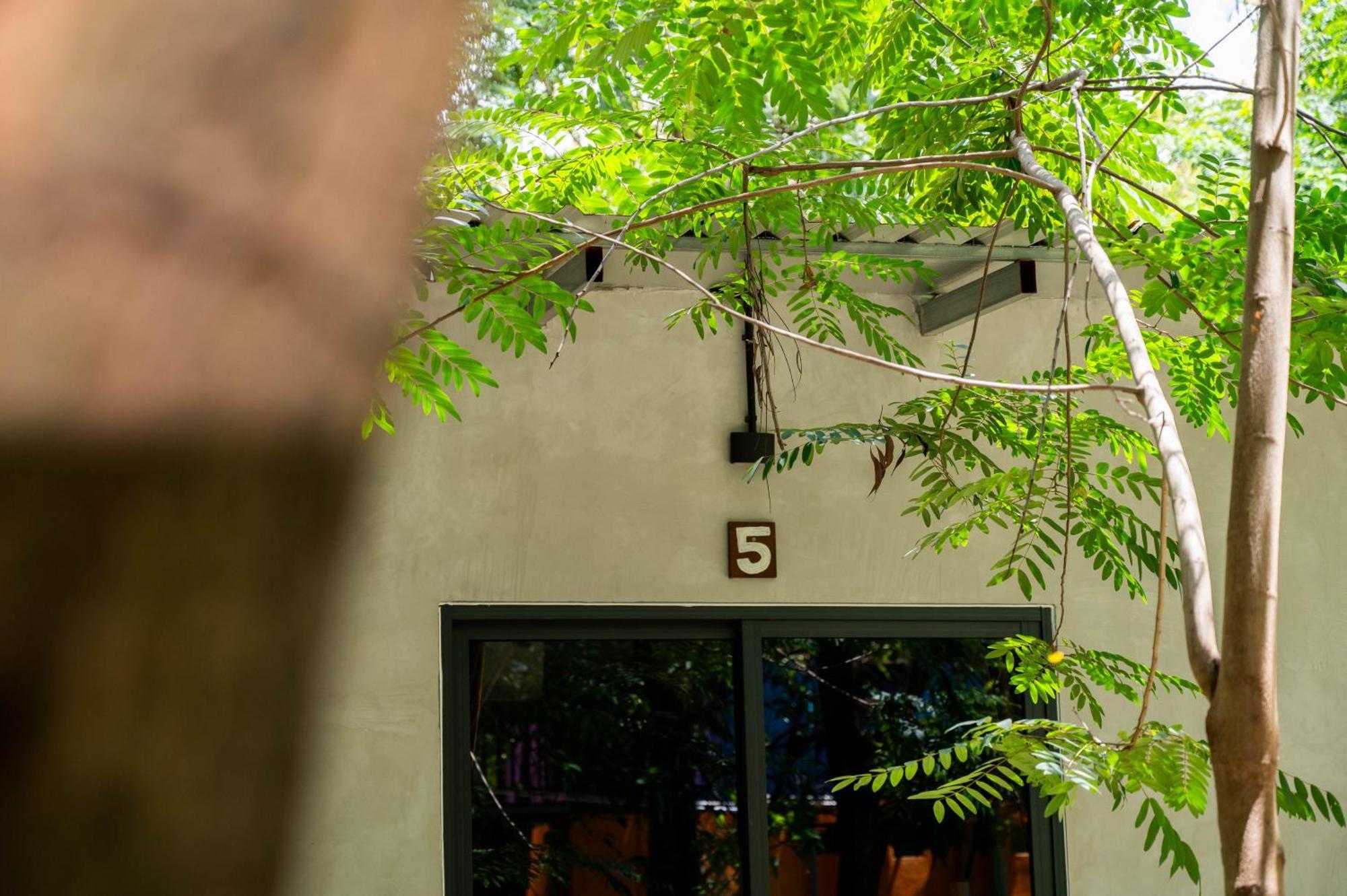 Banyan Tree Hostel Кампот Экстерьер фото