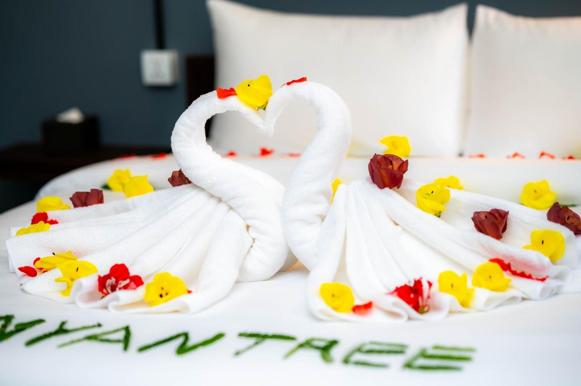 Banyan Tree Hostel Кампот Экстерьер фото