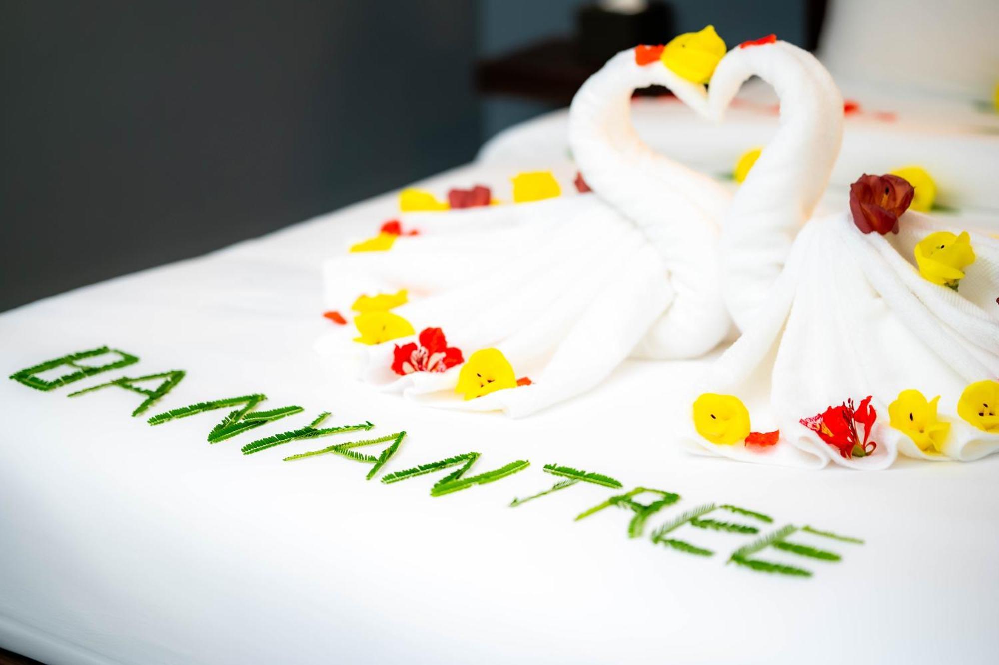 Banyan Tree Hostel Кампот Экстерьер фото
