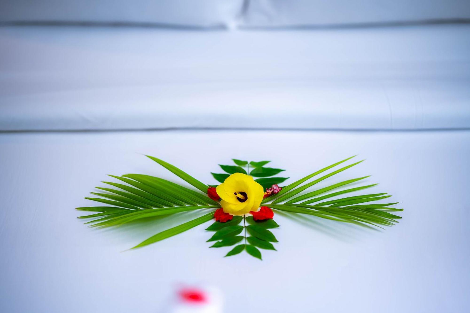 Banyan Tree Hostel Кампот Экстерьер фото